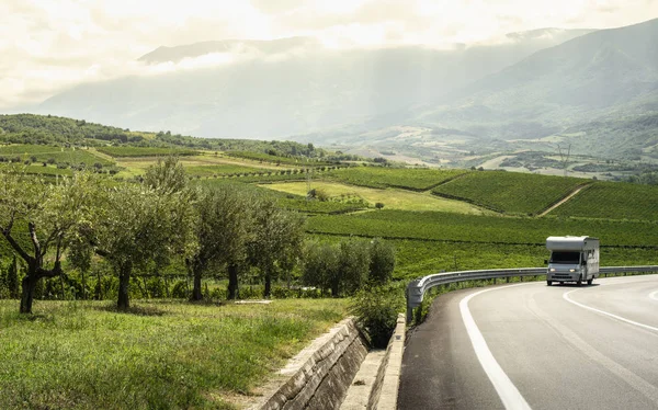 Asphalt road, vineyards and olive trees in countryside. — Stock Photo, Image
