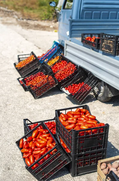 토마토를 실은 작은 이탈리아 APO 트럭입니다. 농부가 토마토를 판매하는 T. — 스톡 사진