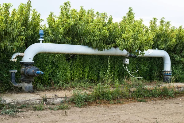 Watering pipes and peaches orchard. — Stock Photo, Image