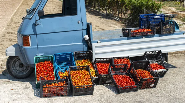 Small italian apo truck with tomatoes. Farmer sale tomatoes on t — Stock Photo, Image