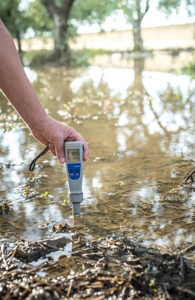 Измерьте содержание воды с помощью цифрового устройства. PH-метр . — стоковое фото