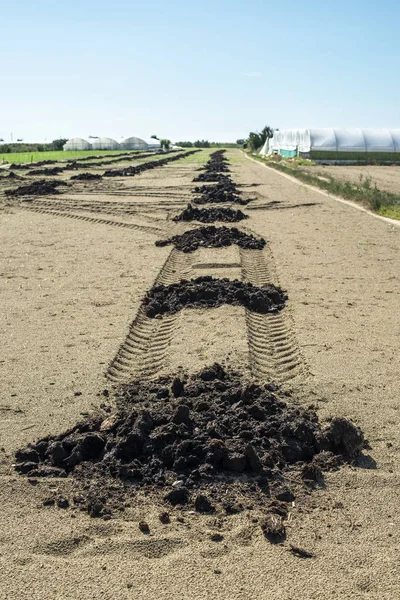 Natürlicher Dünger in landwirtschaftlichen Flächen. Bodendüngung — Stockfoto