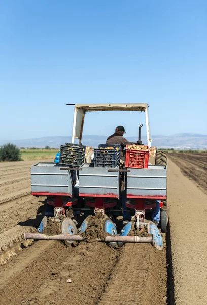 Traktor ládákkal burgonyát ültető — Stock Fotó