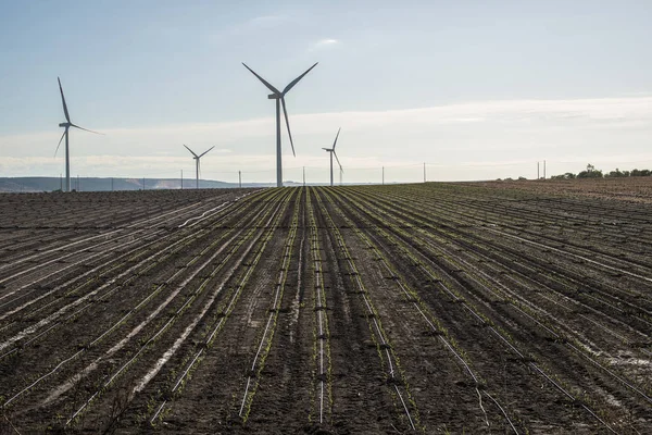 Wytwórca energii wiatrowej na gruntach rolnych. — Zdjęcie stockowe