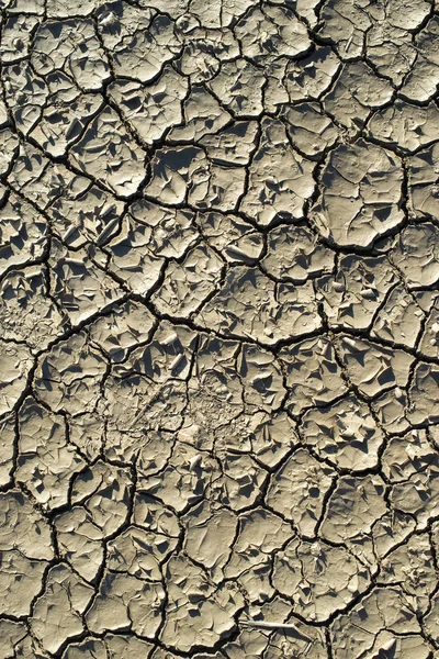 Cracked soil texture. Hard shadows and sun. Dried ground. — Stock Photo, Image