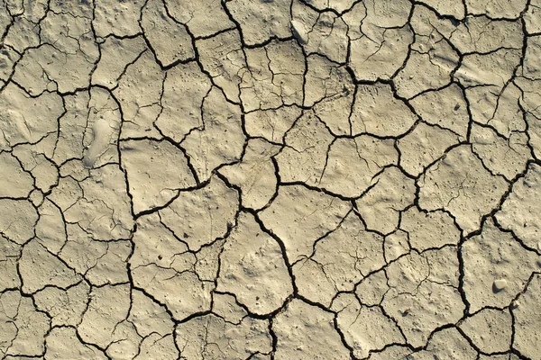 Cracked soil texture. Hard shadows and sun. Dried ground. — Stock Photo, Image