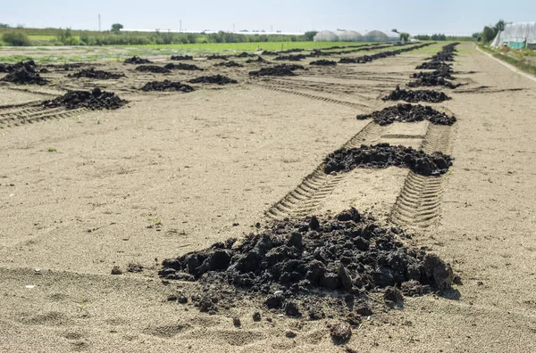 농경지의 천연 비료. 토양 수정 CONC — 스톡 사진