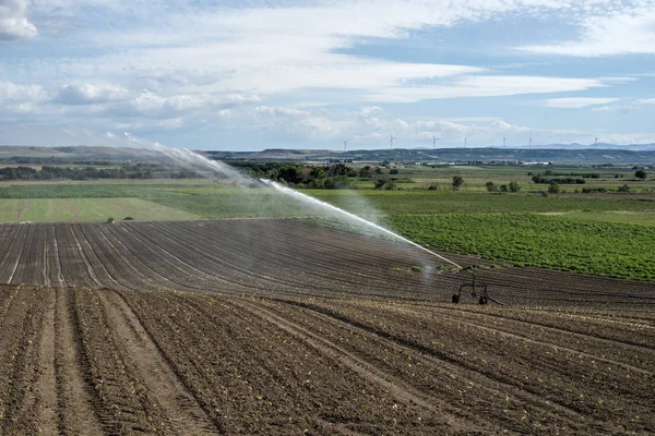 Watering green plants and plowed soil. Newly planted agriculture — Stock Photo, Image