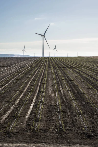 Windkraftanlage auf landwirtschaftlichen Flächen. — Stockfoto