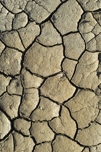 Cracked soil texture. Hard shadows and sun. Dried ground. — Stock Photo, Image