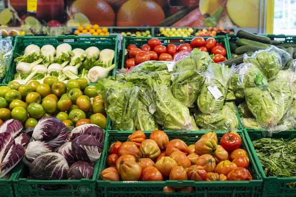 Pomidory, sałata, koper włoski i rodniki w supermarkecie. — Zdjęcie stockowe