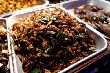 Khao San Road Bangkok Gece Hayatı Tayland sokak gıda