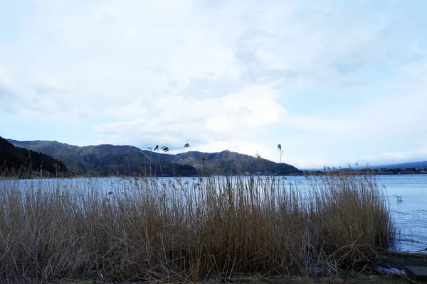 Озеро Кавагуті Kawaguchiko Префектура Японії Ранковий Час — стокове фото