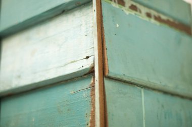 Ahşap doku arka plan, yakın