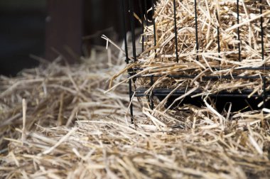 kuru saman otu ve demir kafeskısmi görünümü 