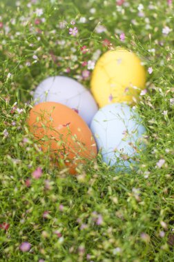 çim çayırdört Paskalya yumurtası 
