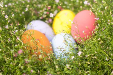 çim çayırbeş Paskalya yumurtası 