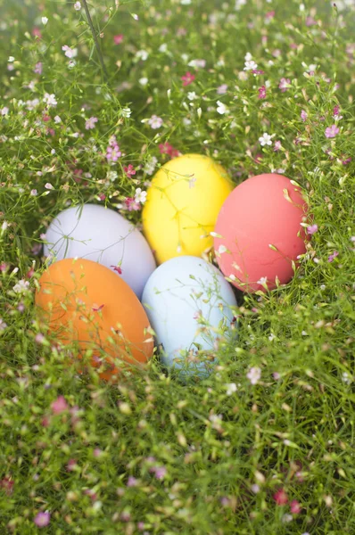 Colorful Painted Easter Eggs Grass Meadow — Stock Photo, Image