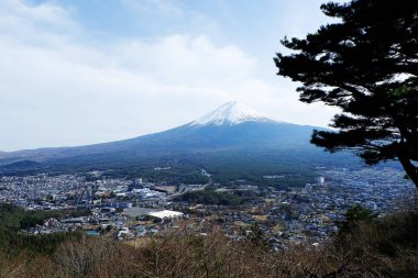 Fuji Dağı ve ağaç dalları ön planda 