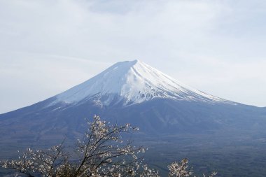 Fuji Dağı ve ağaç dalları ön planda 