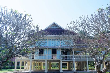 mavi tatil evi ve kişisel yeşil bahçe 