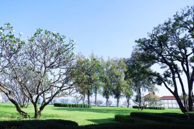 ağaçlar ve yeşil çim ile güzel yaz bahçesi, arka planda ağaç köşkü