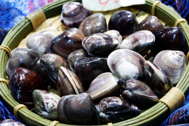 Balık pazarında buzlu deniz ürünleri.