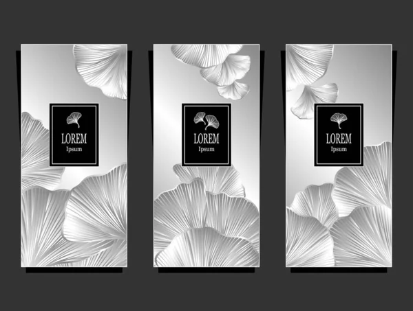 Set Template Package Flyer Luxury Background Leaves Silver Black White — Stock Vector