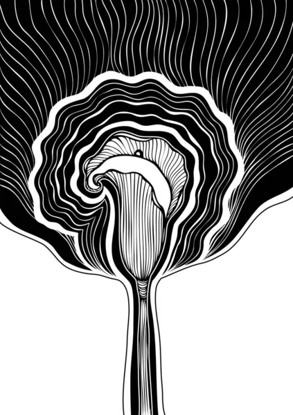 Fondo Decorativo Con Flor Abstracta Calla Blanco Negro Línea Arte — Archivo Imágenes Vectoriales