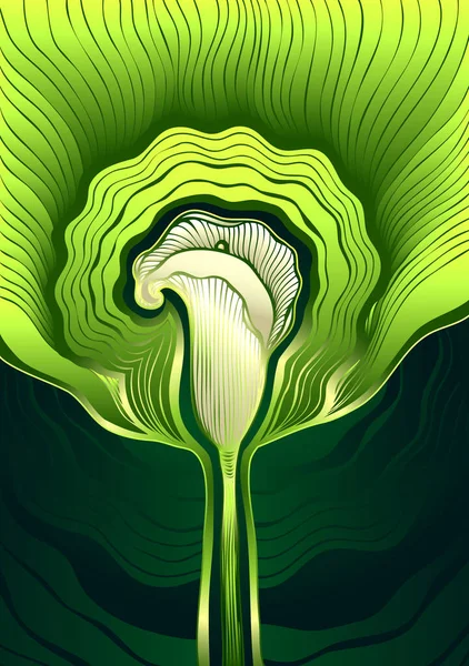 Fondo Decorativo Con Flor Abstracta Calla Enredo Zen Zen Doodle — Vector de stock