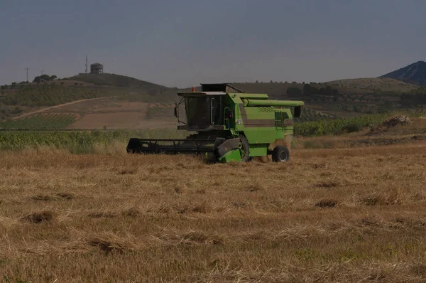 Cosechando Máquina Campo Trigo Recogiendo Grano Haciendo Paja Paisaje Agrícola — Foto de Stock