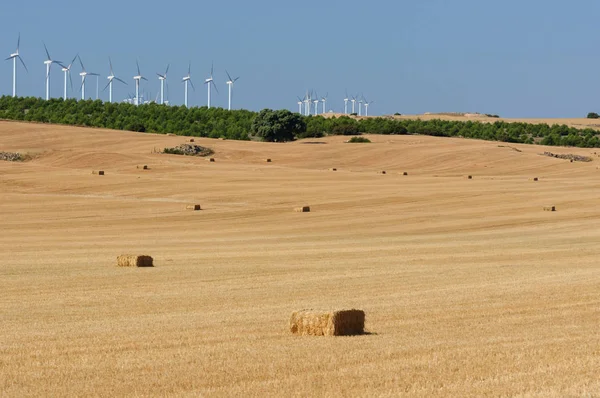 Dziedzinie Hodowli Wsi Słoma Bele Turbin Wiatrowych Agriculture Krajobraz Tło — Zdjęcie stockowe