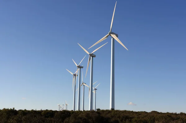 Turbina Wiatrowa Parku Odnawialnych — Zdjęcie stockowe