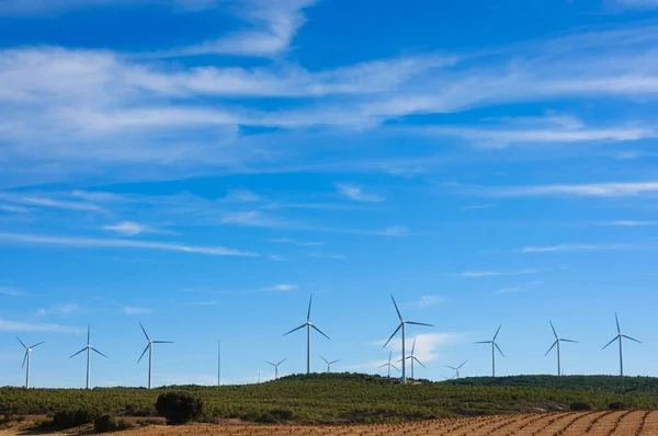 Turbiny Wiatrowe Pole Przeciw Błękitne Niebo Pochmurne Generatorów Elektrycznych Wsi — Zdjęcie stockowe