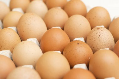 Kahverengi yumurta Closeup arka plan üzerinde