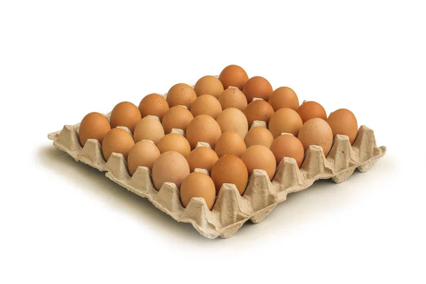 Коричневі Яйці Картону Лоток Ізольовані Білому Тлі — стокове фото