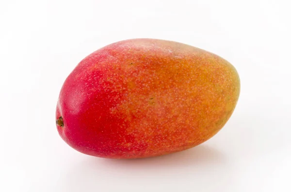 Mango Isolato Fondo Bianco — Foto Stock