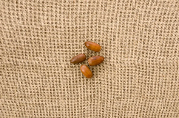 acorns on burlap background