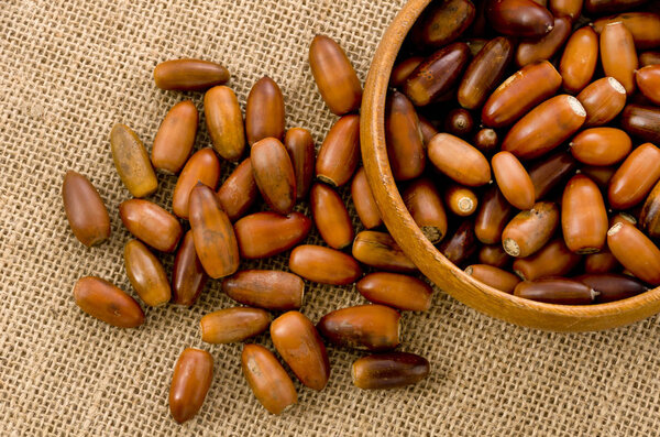 acorns in a wooden round bowl on burlap background