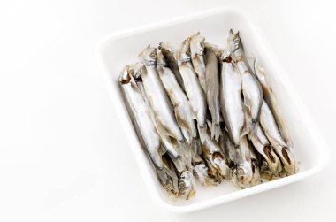 Capelin balığı ya da shishamo balığı.