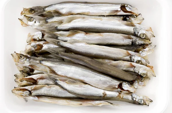 Capelin Fish Shishamo Fish — Stock Photo, Image