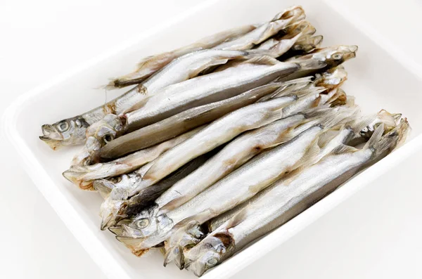 Capelin Fish Shishamo Fish — Stock Photo, Image