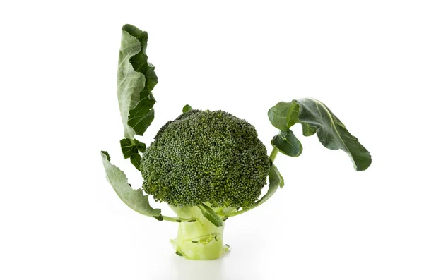 Brokoli Segar Pada Latar Belakang Putih — Stok Foto