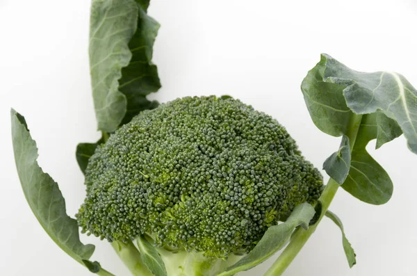 Fresh Broccoli White Background — Stock Photo, Image