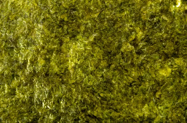 dried laver seaweed background
