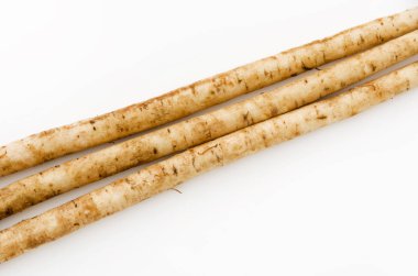 Burdock beyaz arkaplanı izole etti.