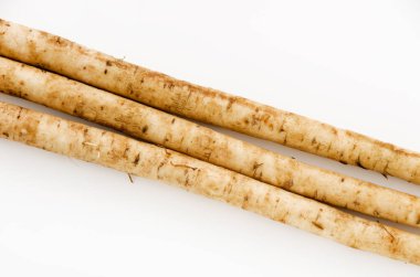 Burdock beyaz arkaplanı izole etti.