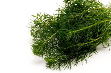 Hamamachi, Ryukyuyomogi, Artemisia kampı, pelin otu, mugwort.,