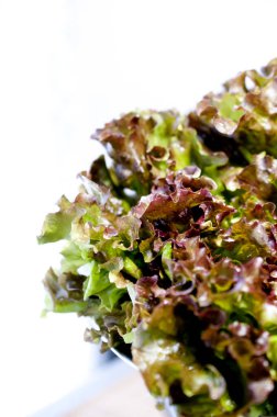 Paslanmaz Çelik Kasede Taze Kırmızı Yaprak Marul. 