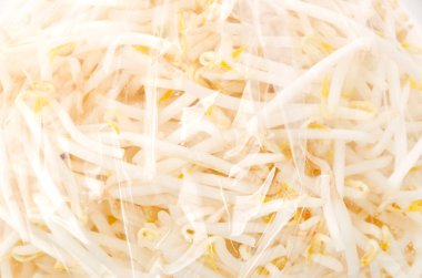 Plastik torbada taze fasulye filizleri